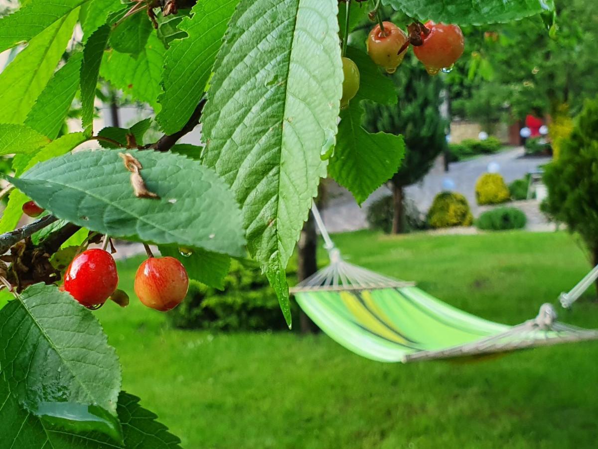 Villa Zenko Lviv Eksteriør billede